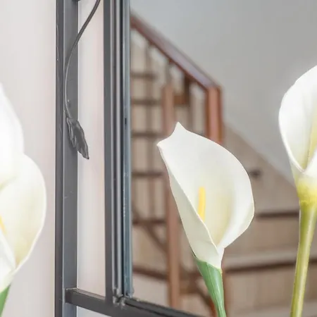 Casa Vacacional Con Encanto 펜션